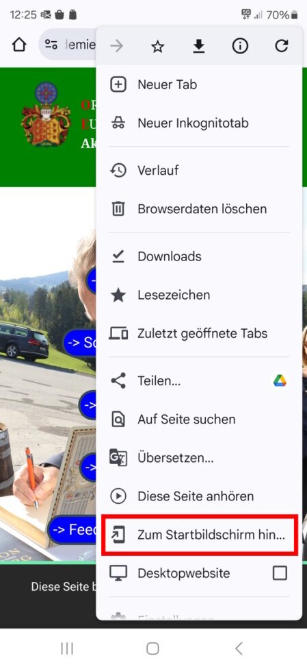 Auswahl Icon